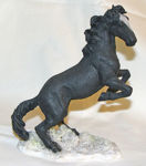 Picture of Black Horse