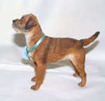 Picture of Border Terrier