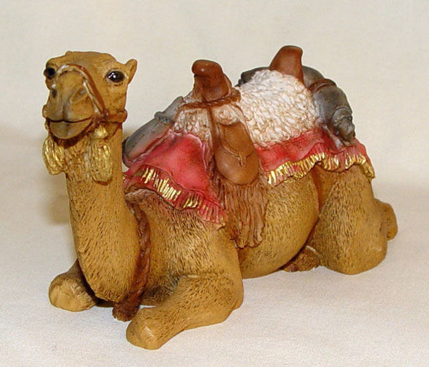 Picture of Camel