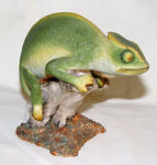 Picture of Chameleon