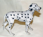 Picture of Dog - Dalmata