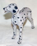 Picture of Dog - Dalmata