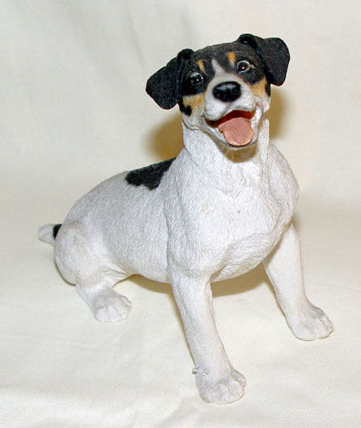 Picture of Dog - Jack Russell