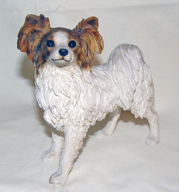 Picture of Dog - Papillon