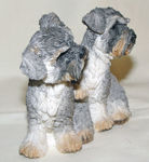 Picture of Schnauzer Puppy