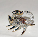 Picture of Scorpion - Zodiac