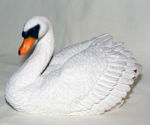 Picture of Swan