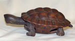 Picture of Turtle