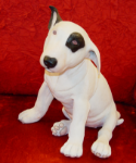 Picture of English Bull Terrier - sitting