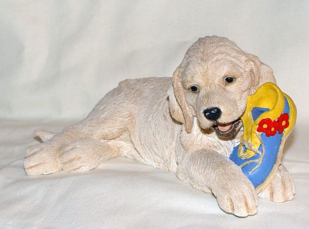 Picture of Honey - Golden Retriever with Shoe