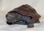 Picture of Turtle